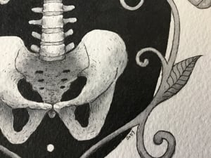 Skeleton With Moths And Butterflies Original Drawing