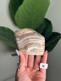 Image 14 of CHOOSE YOUR OWN BANDED CALCITE FREEFORM -UTAH- 