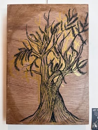 Bristle cone pine on panel 