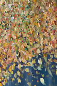 Image 9 of Fall Light 