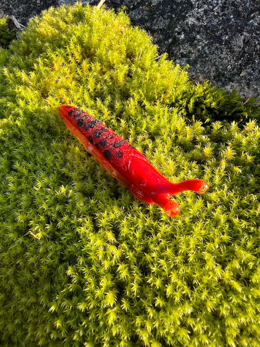 Image of Orange Boro Slug