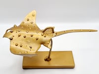 Image 4 of La Raie d'eau, 2024