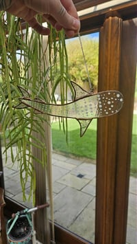 Image 1 of Clear whale