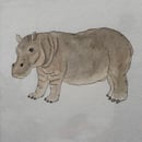 Image 2 of £50 originals - Hippo watercolour