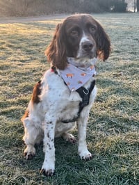 Image 2 of Custom Handmade Bandana