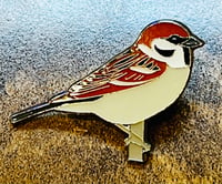 Image 2 of Smew - No.181 - UK Birding Pins