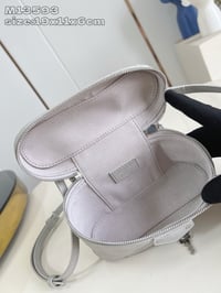 Image 17 of ĻV Vanity Case
