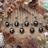 Image 1 of Shark Tooth Necklace