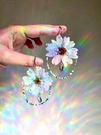 Image 3 of 🤍Dewdrop Pearl Daisies🤍