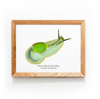 Puerto Rican Semi-Slug | Art Print