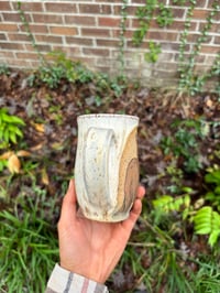 Image 4 of Painted sorrel horse