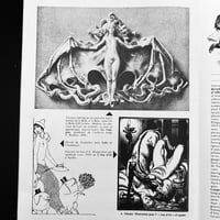 Image 16 of FASCINATION #1