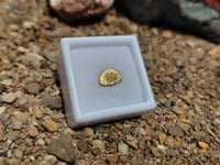 Image 3 of Gold tabet- 0.73g