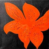 Image 3 of Tiger Lily 