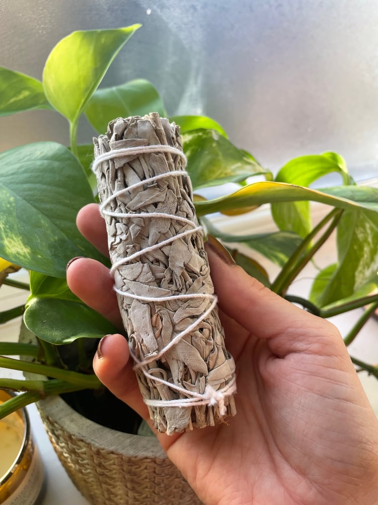 Image of White Sage
