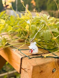 Image 3 of Dragon fruit Rabbit