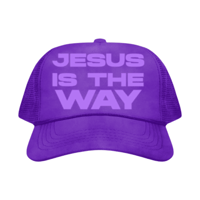 Image 8 of Jesus Is The Way Hat