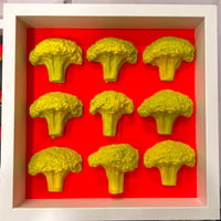Rodger Taylor  9 Broccolis