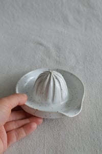 Image 19 of Citrus Juicer