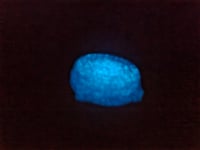 Image 5 of Shadow Glow in The Dark Carb Tops. 