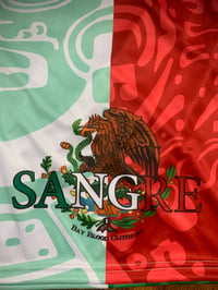 Image 3 of Mexican Sangre Pool Shorts 