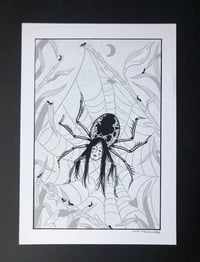 Image 1 of [Print A5] Araignee