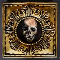 Image 1 of Estudio de cráneo 