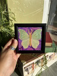 Image 1 of Framed Mini Art: Winged Creature 5