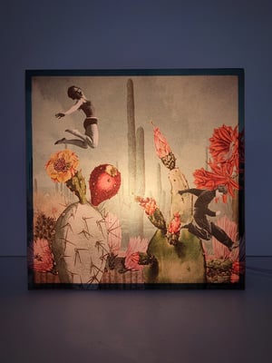 Image of Saltadores de Cactus.