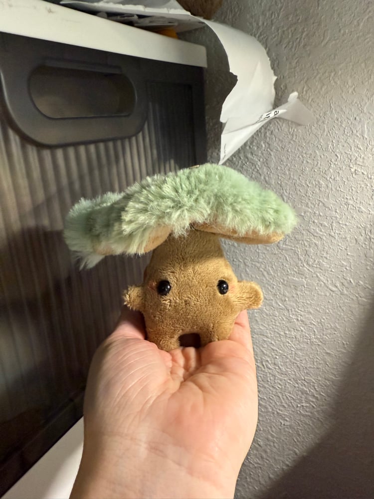 Image of Sage top shroomie