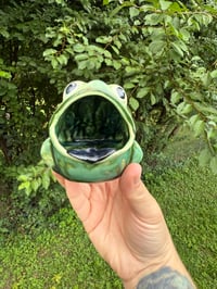 Image 6 of Frogs 