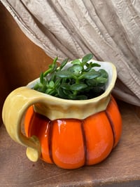 Image 3 of Jade Plant in Large Pumpkin Pitcher