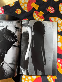 Image 8 of IT, Daido Moriyama, 2006. Hysteric Glamour