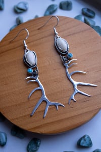 Image 4 of Elk Ivory & Turquoise Antler Earrings 