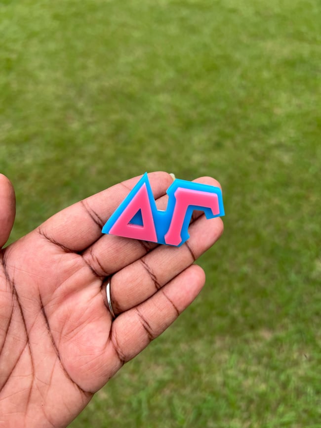 Delta Gamma Pin