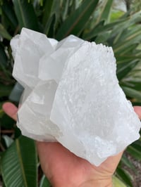 Image 1 of Clear Quartz Self Healed Points Cluster #1189