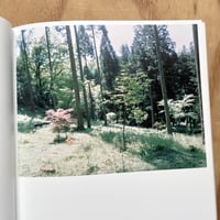 Image 6 of Rinko Kawauchi - The River Embraced Me (Signed)