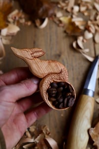 Image 7 of Fox Coffee  Scoop
