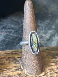 Image 3 of Abalone Ring (6.5)