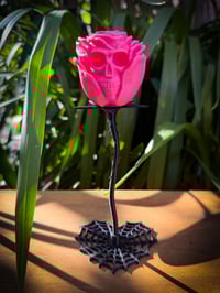 Image 3 of  Rose Skull Flower