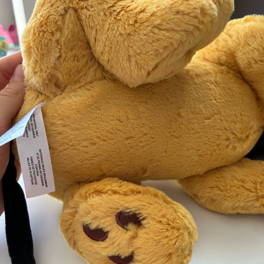 Image of Peluche disney pluto