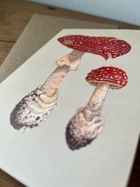 Image 2 of Amanita muscaria Greeting Card