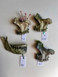 Image 1 of Skull Fragments (wall art)