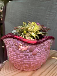 Image 3 of Polka Dot Plant in Coral/Pink Bowl