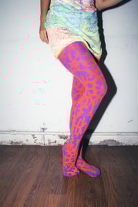 Image 3 of PATTY DIFHUSA