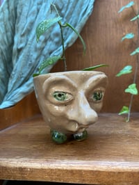 Image 2 of Teacup Anemone Hoya in Handmade Vince Mascoli Original