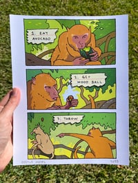 Avocado Signed Print