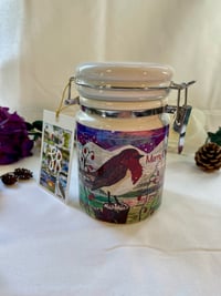 Image 1 of Christmas Robin Storage Jars