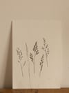 Mixed Grass 2 Original Botanical Monoprint A4 *Seconds*