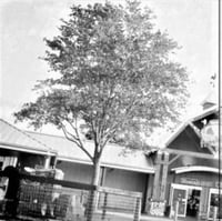 Leg Market - “Indifferent Display of Affection” C45 (NOS-026)